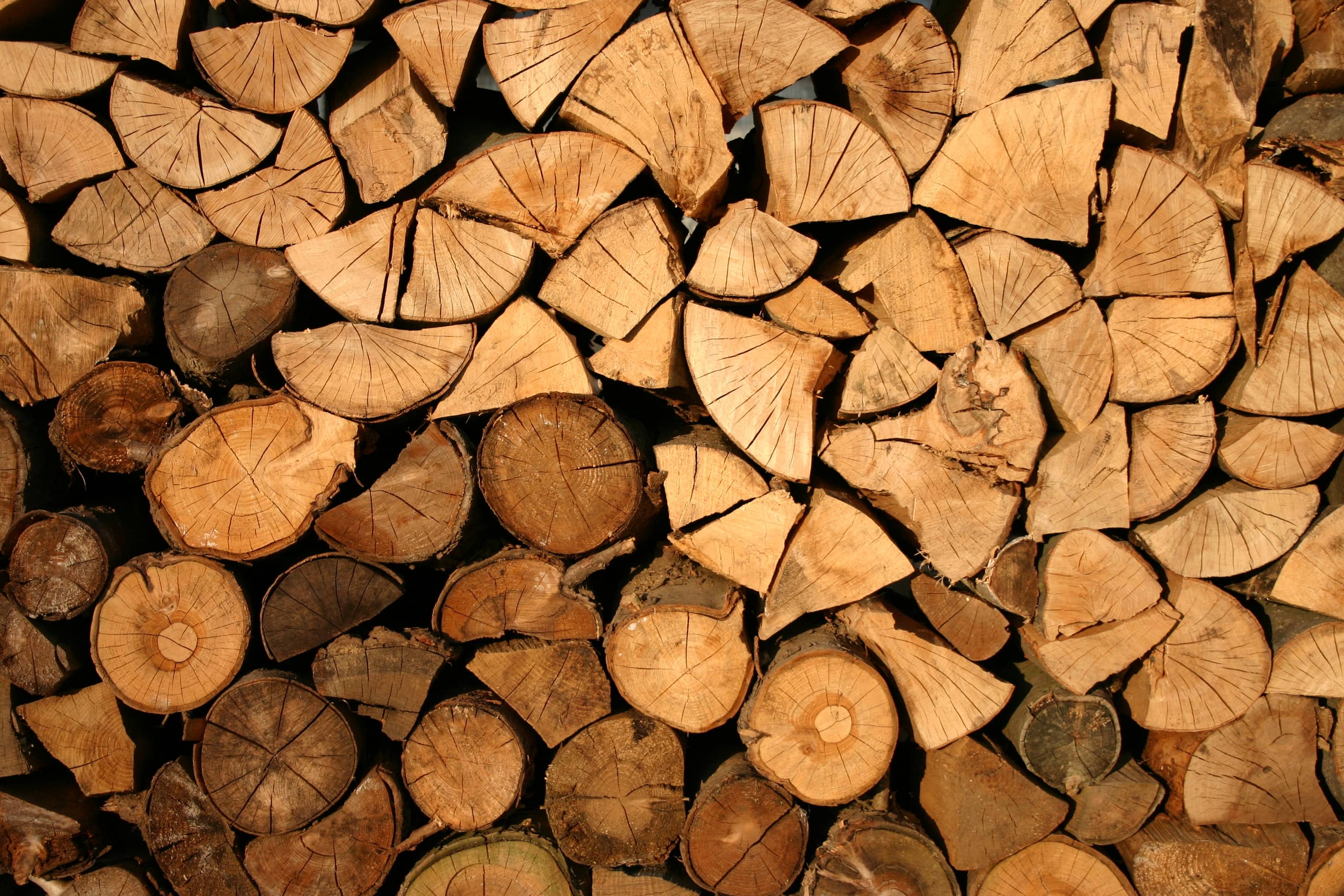 Stacked firewood.